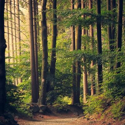 一分快3官方网址